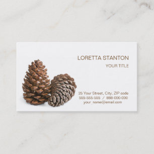 Two pinecones business card