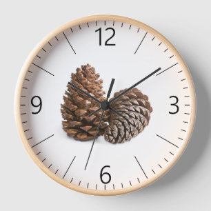 Two pinecones clock