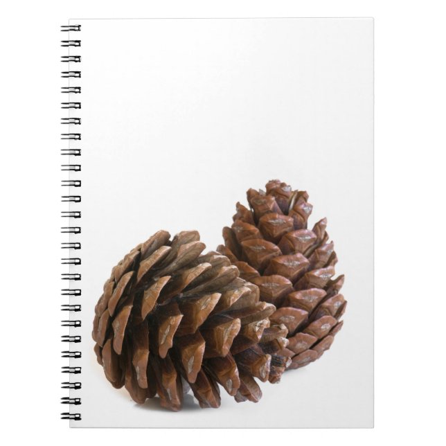 Two pinecones notebook (Front)