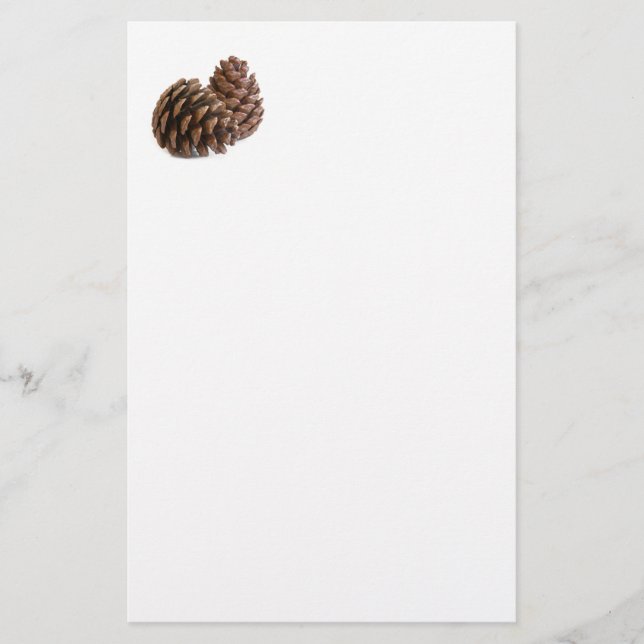Two pinecones stationery (Front)