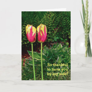 TWO PINK AND YELLOW TULIPS /HAPPY ANNIVERSARY CARD