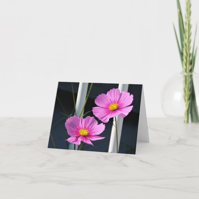 Two Pink Cosmos through the Railing Card (Front)