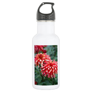 Two pink dahlia flowers 532 ml water bottle