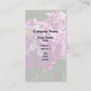 Two Pink Hydrangea Business Card
