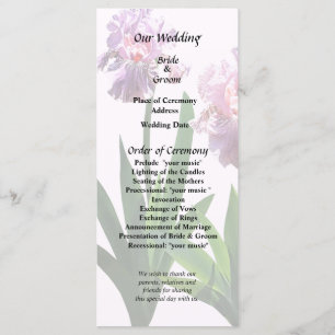 Two Pink Irises Programme