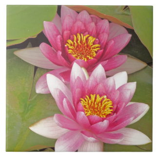 "TWO PINK LOTUS BLOSSOMS" decorative tile