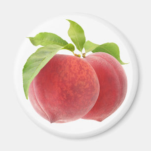 Two pink peaches magnet