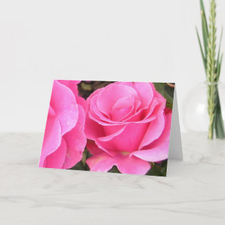 Two Pink Roses Greeting Card