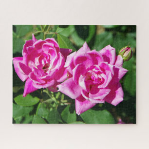 Two Pink Roses jigsaw puzzle
