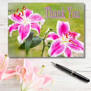 Two Pink Stargazer Lilies Thank You Card