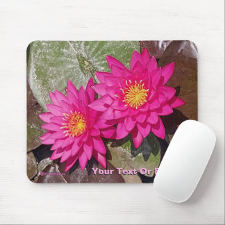 Two Pink Water Lilies Mouse Pad