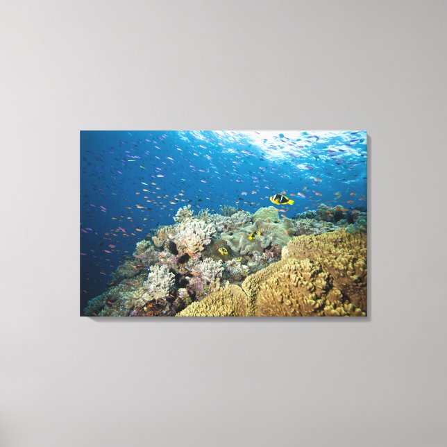 Two pinnacles starting in about 75 feet of water canvas print (Front)