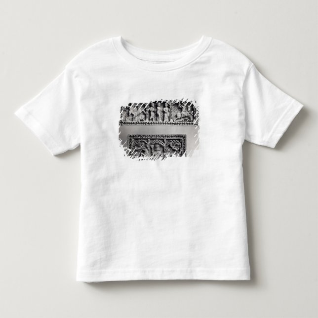 Two plaques from a chest toddler T-Shirt (Front)
