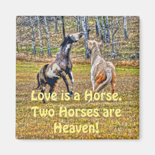 Two Playful Pinto Paint Horses Equine Art Design Magnet