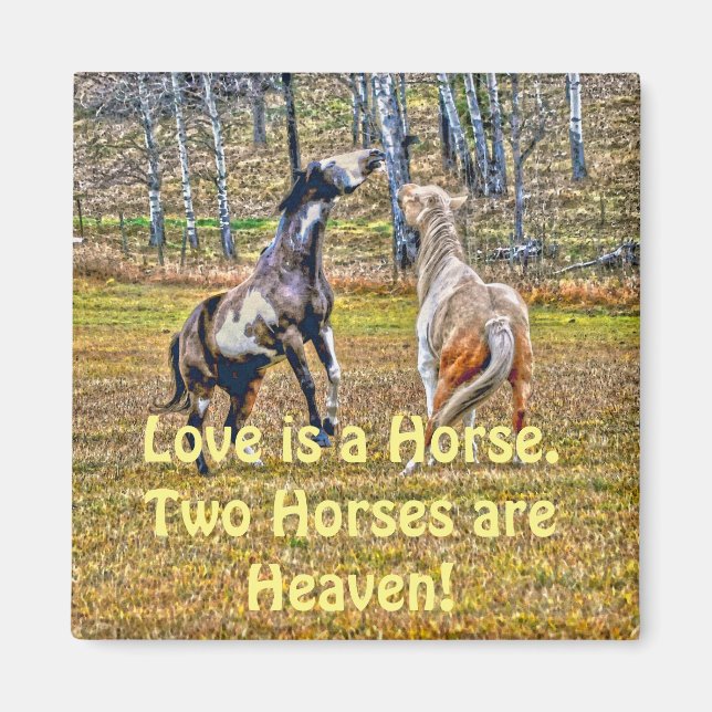 Two Playful Pinto Paint Horses Equine Art Design Magnet (Front)