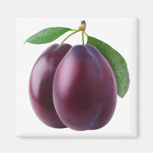 Two plums magnet