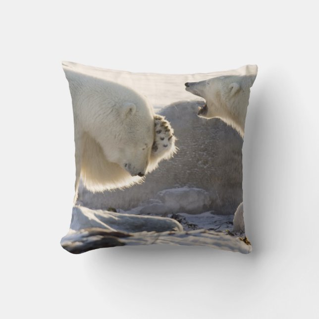 Two Polar Bears Cushion (Front)