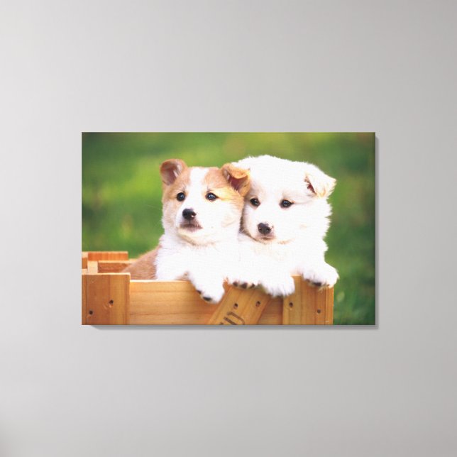 Two Puppies Canvas Print (Front)