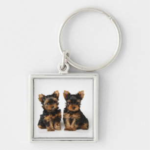 Two puppies key ring