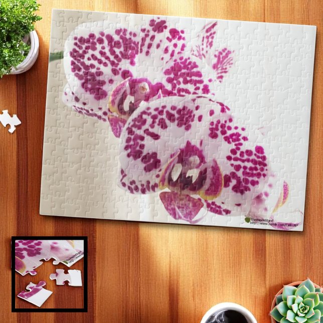 Two Purple and White Tropical Orchid Photograph Jigsaw Puzzle (tropical orchid jigsaw puzzle 252 piece, ll" x 14" )