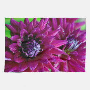 Two purple dahlias flowers in bloom tea towel