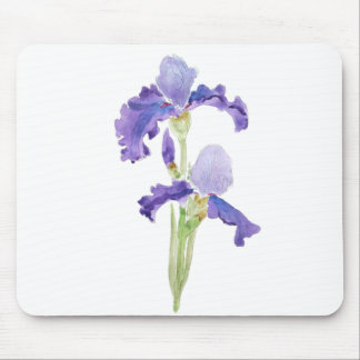two purple irises ink and watercolor mouse pad