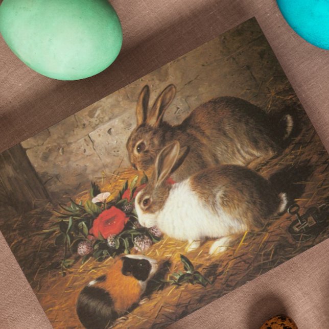 Two Rabbits and a Guinea Pig (Creator Uploaded)