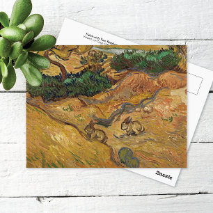 Two Rabbits in the Field Vincent van Gogh Postcard