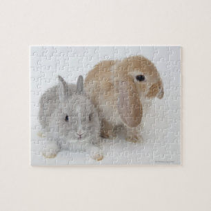 Two rabbits.Netherland Dwarf and Holland Lop. Jigsaw Puzzle
