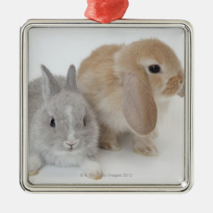 Two rabbits.Netherland Dwarf and Holland Lop. Metal Tree Decoration