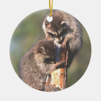 Two Racoons on Stump Ornament