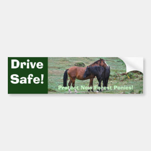 Two Rare, Wild New Forest Pony Friends in England Bumper Sticker
