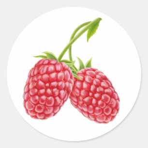 Two raspberries classic round sticker