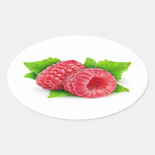 Two raspberries with leaves oval sticker