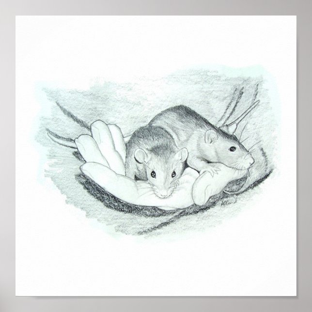 Two rats in the hand poster (Front)