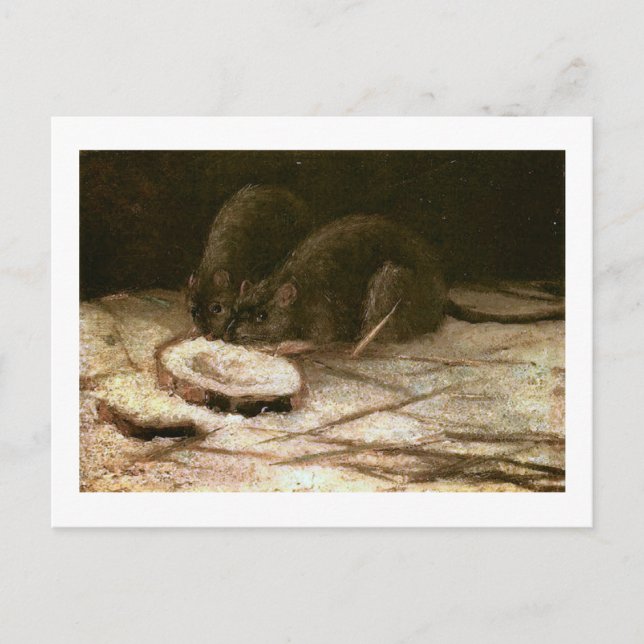 Two Rats Van Gogh Fine Art Postcard (Front)