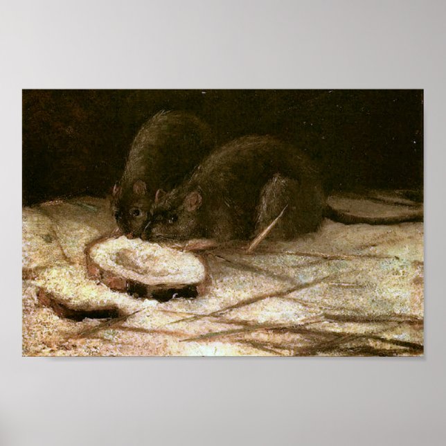 Two Rats Van Gogh Fine Art Poster (Front)