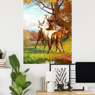 Two Red And White Deer In The Forest Poster