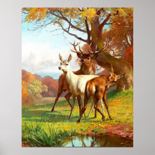 Two Red And White Deer In The Forest Poster