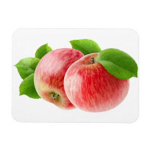 Two red apples magnet