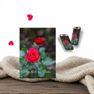 Two red roses for Valentine’s Day Card