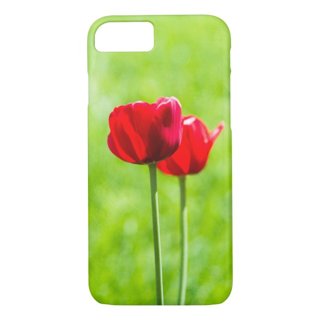 Two red tulip flowers Case-Mate iPhone case (Back)