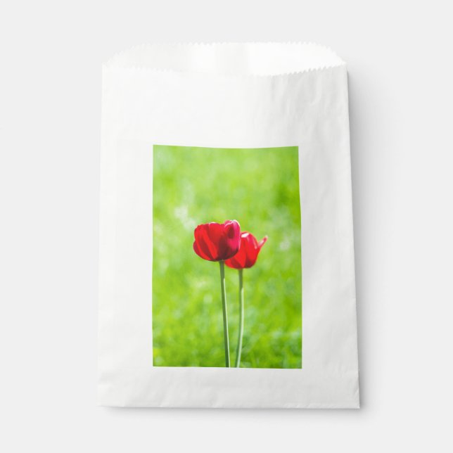 Two red tulip flowers favour bags (Front)