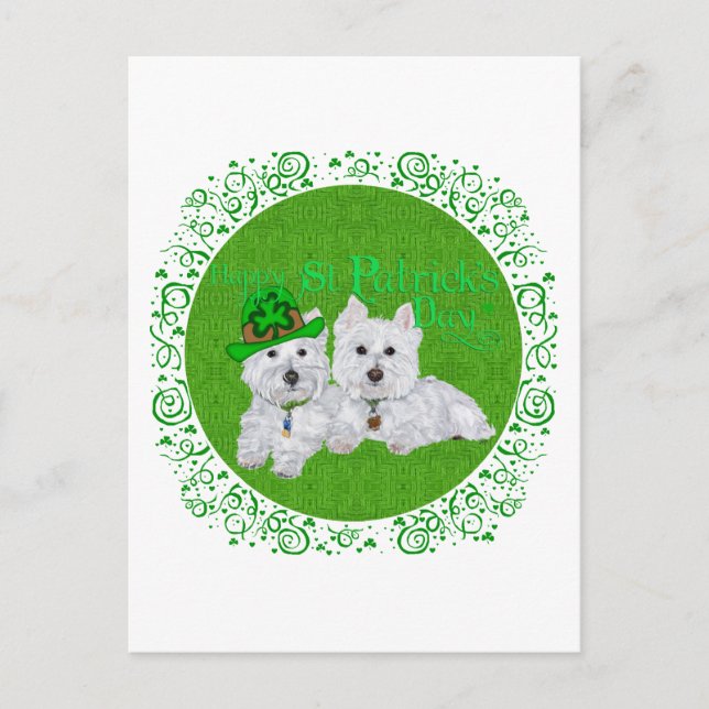 Two Resting Westies on St Patricks Day Postcard (Front)