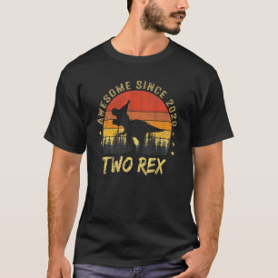 Two Rex 2nd Birthday Rex 2020 Second Dinosaur 2 Ye T-Shirt