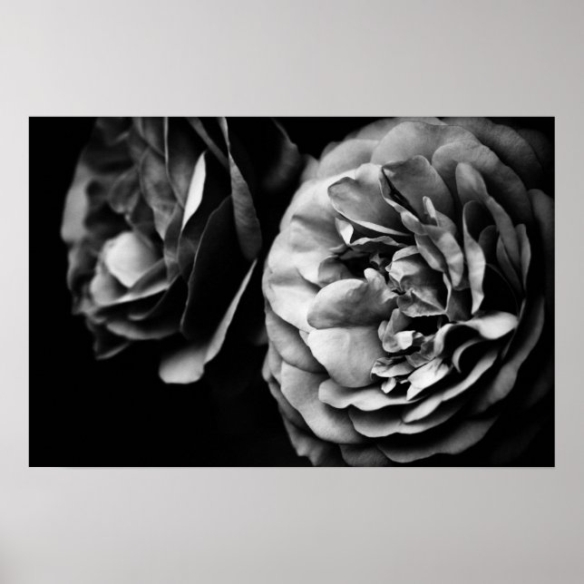 two roses poster (Front)