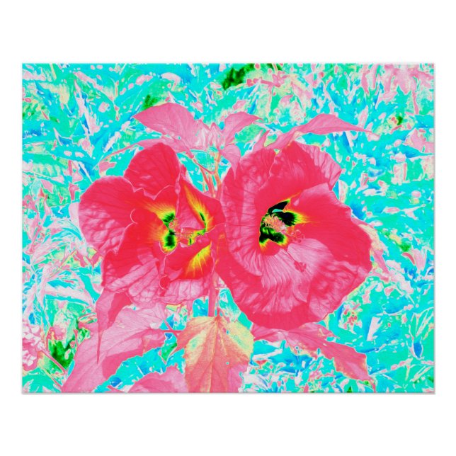 Two Rosy Red Coral Plum Crazy Hibiscus on Aqua Poster (Front)