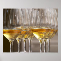 two rows of wine tasting glasses with lucious