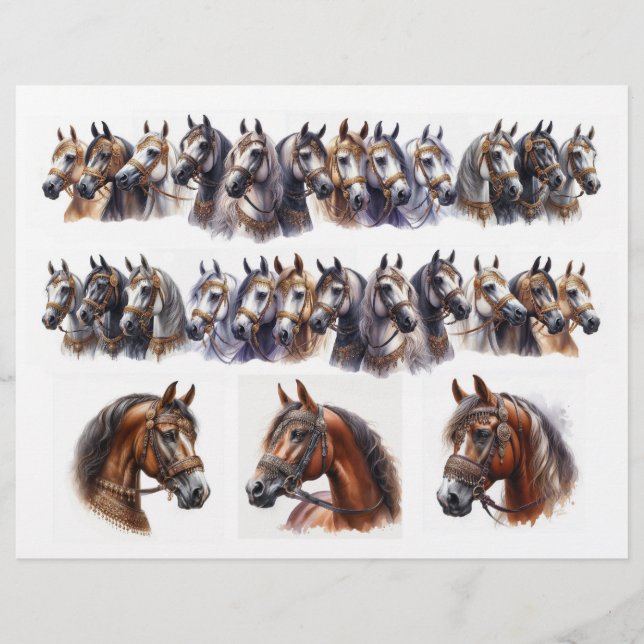 Two Rows Plus 3 Single Beautiful Horses (Front)