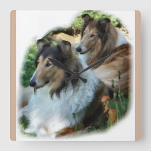 Two Sable Rough Collies Art Gifts Square Wall Clock